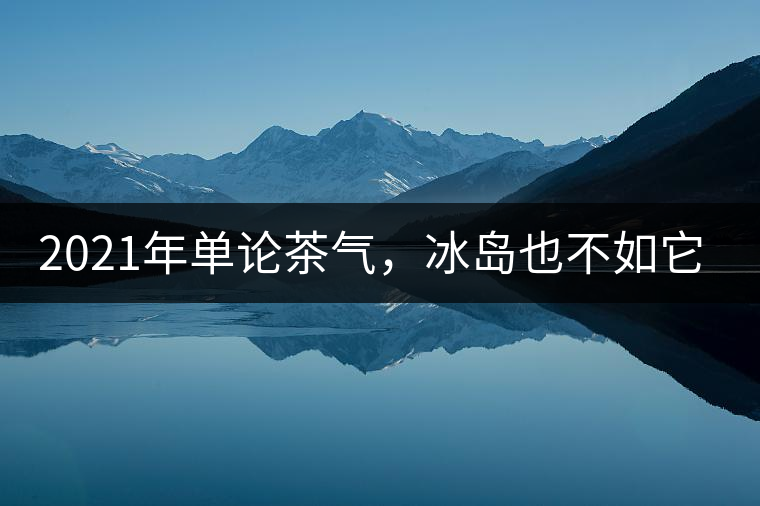 2021年單論茶氣，冰島也不如它-磨烈古樹秋