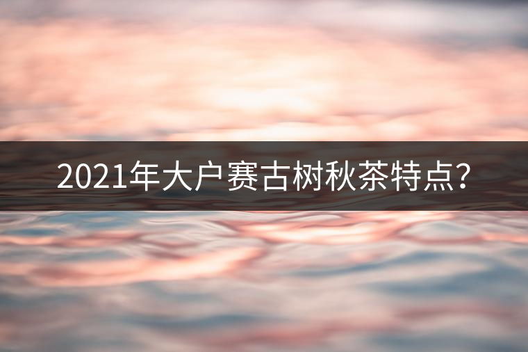 2021年大戶(hù)賽古樹(shù)秋茶特點(diǎn)? 2021年大戶(hù)賽古樹(shù)秋茶特點(diǎn)?