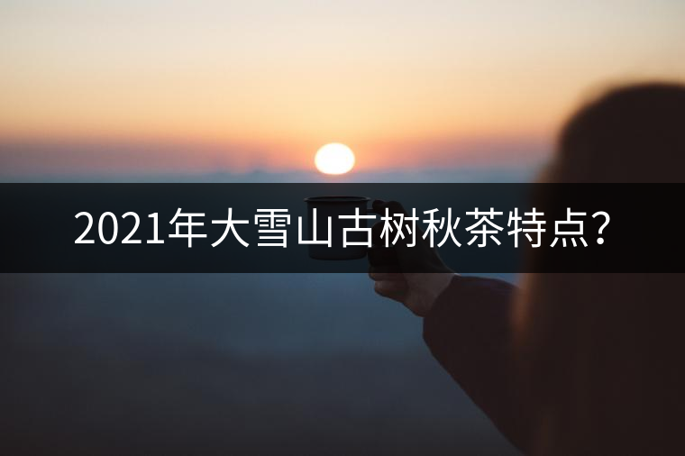 2021年大雪山古樹秋茶特點(diǎn)？