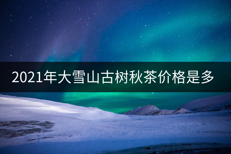 2021年大雪山古樹秋茶價(jià)格是多少？