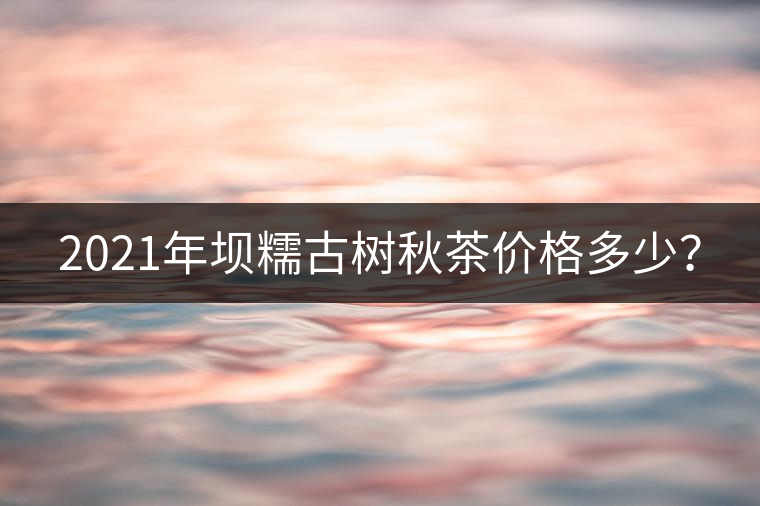 2021年壩糯古樹秋茶價(jià)格多少？