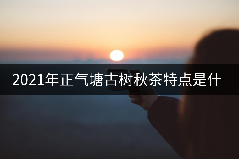 2021年正氣塘古樹秋茶特點(diǎn)是什么？
