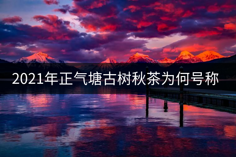 2021年正氣塘古樹秋茶為何號稱小冰島? 2021年正氣塘古樹秋茶為何號稱小冰島?