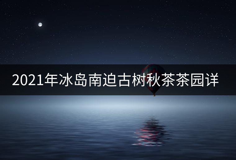 2021年冰島南迫古樹秋茶茶園詳解！