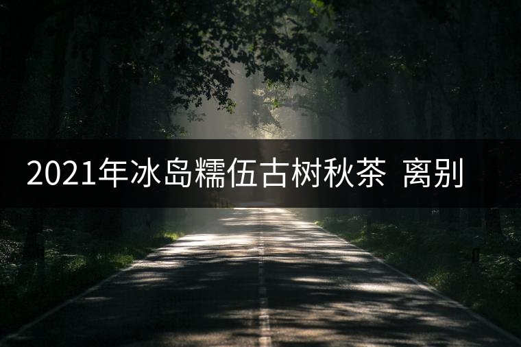 2021年冰島糯伍古樹秋茶 離別方知班章苦,相聚才曉糯伍甜! 2021年冰島糯伍古樹秋茶 離別方知班章苦,相聚才曉糯伍甜!