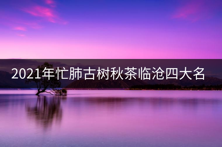 2021年忙肺古樹秋茶臨滄四大名茶之一！