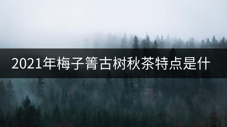 2021年梅子箐古樹秋茶特點是什么？