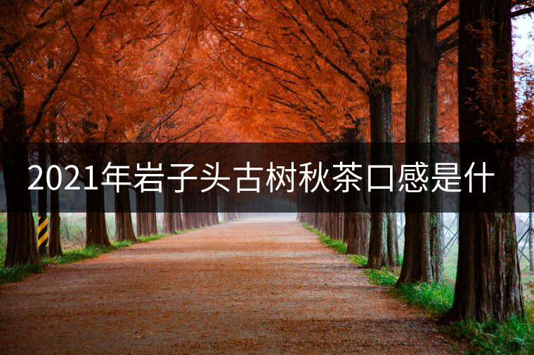 2021年巖子頭古樹秋茶口感是什么？