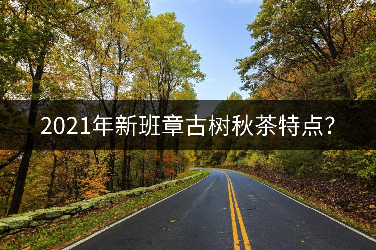 2021年新班章古樹秋茶特點(diǎn)？