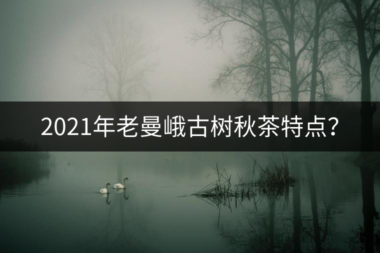 2021年老曼峨古樹秋茶特點？