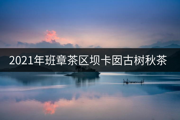 2021年班章茶區(qū)壩卡囡古樹秋茶口感？