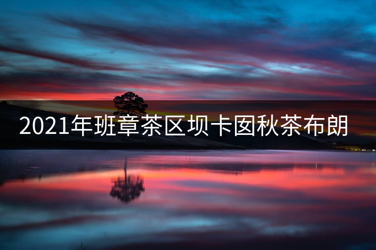 2021年班章茶區(qū)壩卡囡秋茶布朗茶系中的甜茶類！