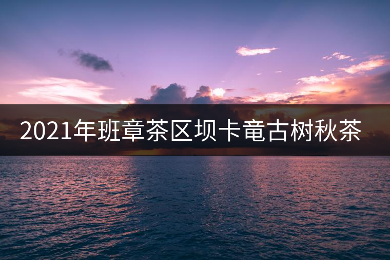 2021年班章茶區(qū)壩卡竜古樹秋茶多少錢一公斤？