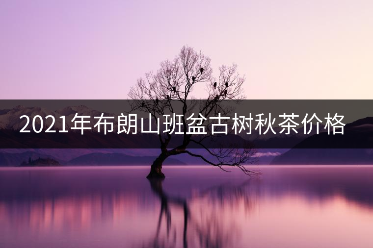 2021年布朗山班盆古樹秋茶價格？
