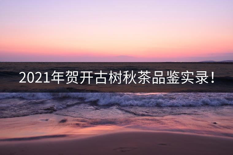 2021年賀開古樹秋茶品鑒實(shí)錄！