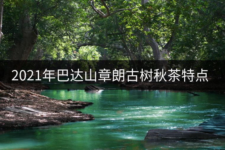 2021年巴達山章朗古樹秋茶特點？
