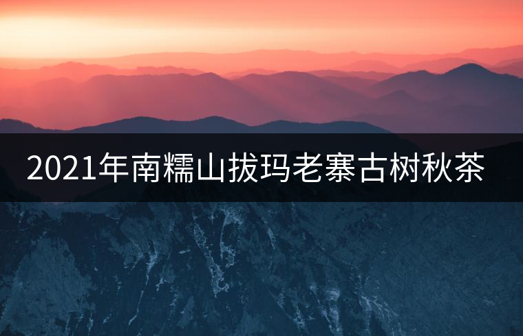 2021年南糯山拔瑪老寨古樹秋茶價格？