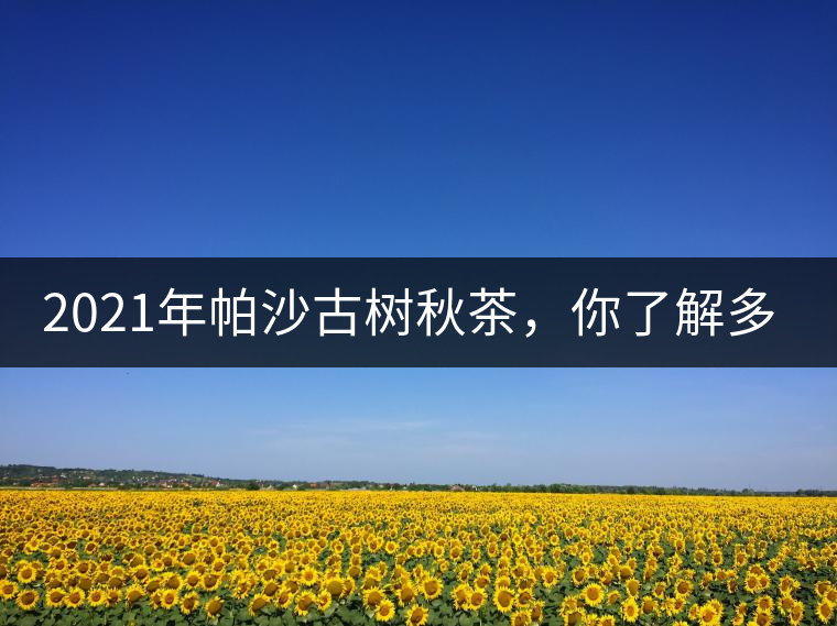 2021年帕沙古樹(shù)秋茶，你了解多少？