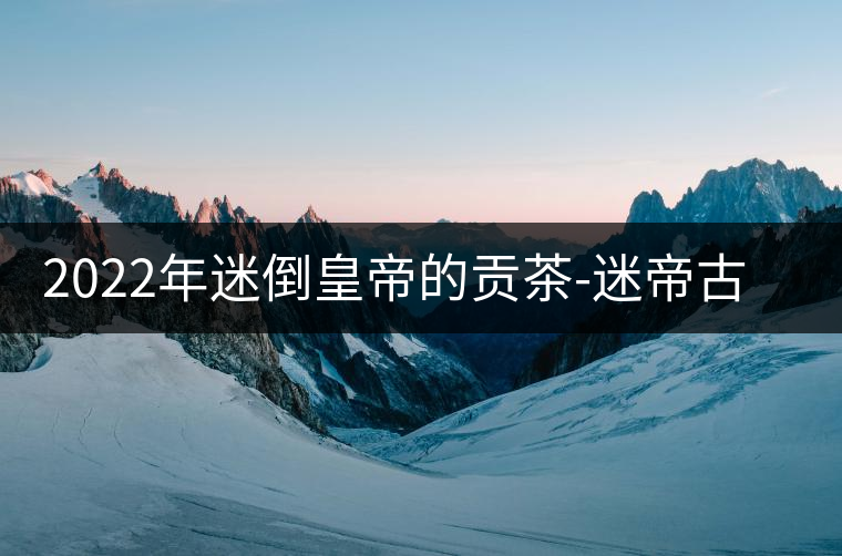 2022年迷倒皇帝的貢茶-迷帝古樹春茶特點(diǎn)？