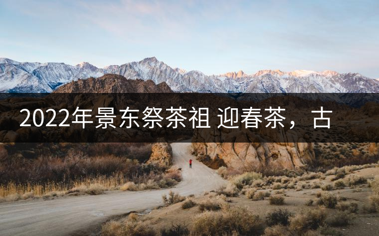 2022年景東祭茶祖 迎春茶，古樹春茶多少錢一公斤？