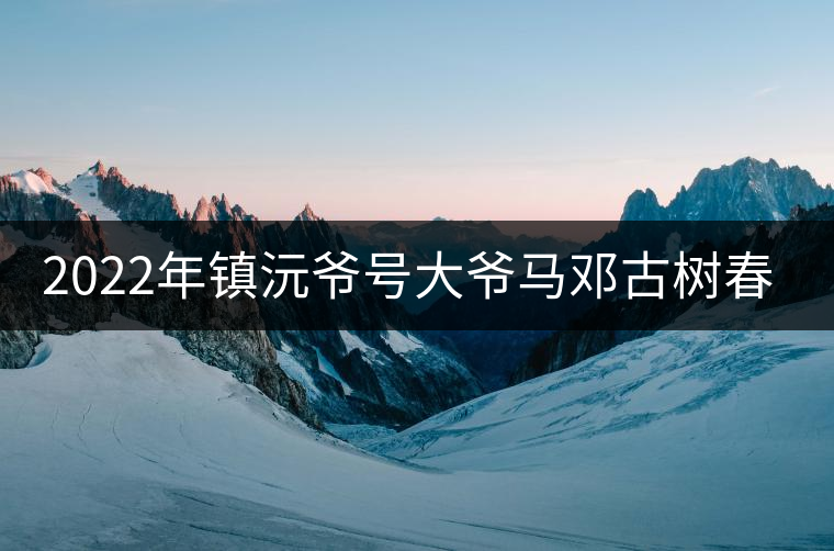 2022年鎮(zhèn)沅爺號(hào)大爺馬鄧古樹春茶特點(diǎn)？