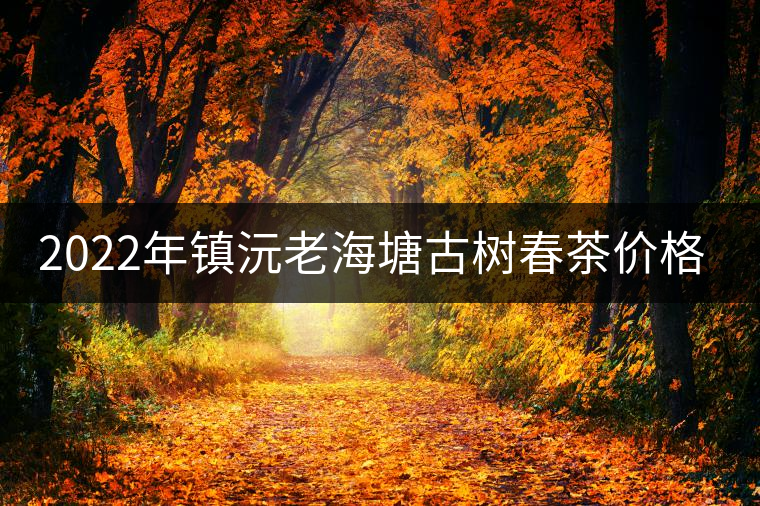 2022年鎮(zhèn)沅老海塘古樹(shù)春茶價(jià)格？