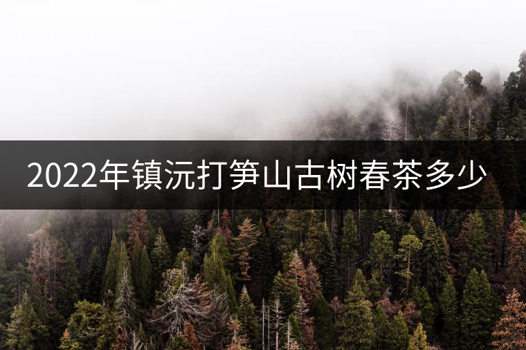 2022年鎮(zhèn)沅打筍山古樹春茶多少錢一公斤？