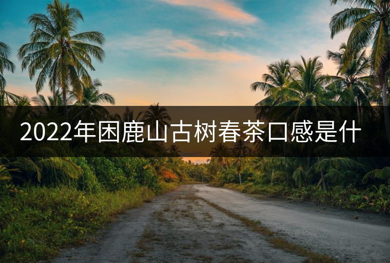 2022年困鹿山古樹(shù)春茶口感是什么？