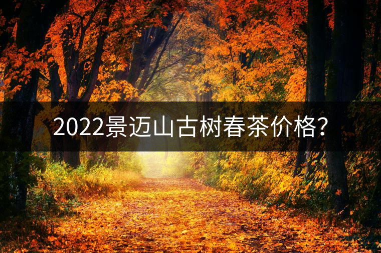 2022景邁山古樹春茶價(jià)格？