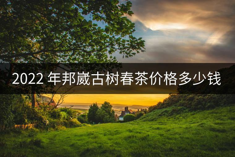 2022 年邦崴古樹春茶價格多少錢一公斤？