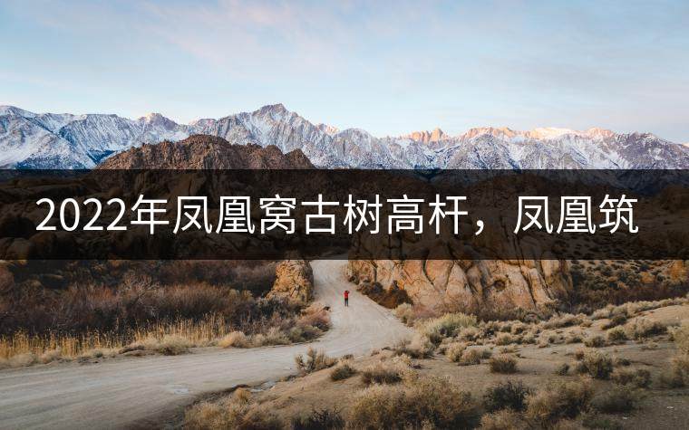 2022年鳳凰窩古樹高桿，鳳凰筑巢的地方