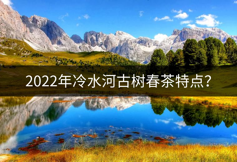 2022年冷水河古樹春茶特點(diǎn)？
