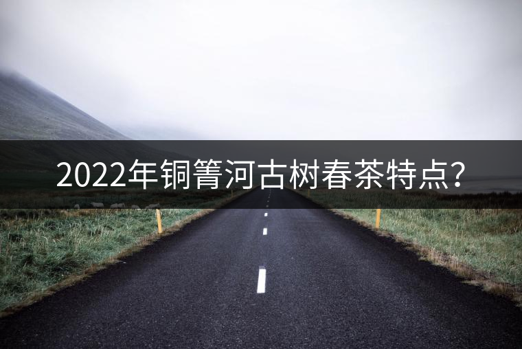 2022年銅箐河古樹春茶特點？