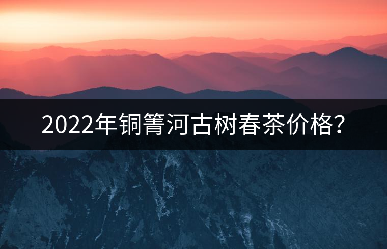 2022年銅箐河古樹春茶價(jià)格？
