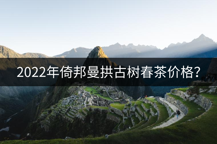 2022年倚邦曼拱古樹春茶價格？