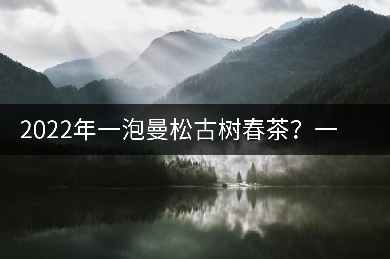 2022年一泡曼松古樹(shù)春茶？一飲帝王味……