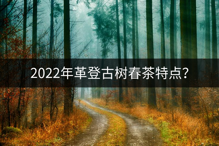 2022年革登古樹春茶特點(diǎn)？