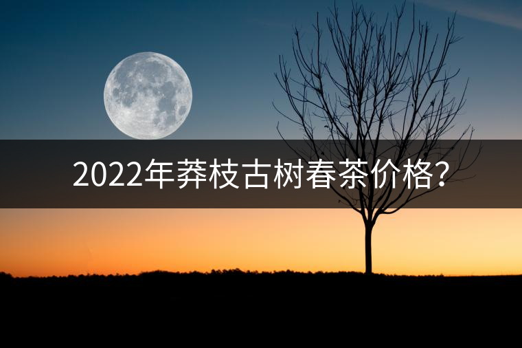 2022年莽枝古樹春茶價(jià)格？