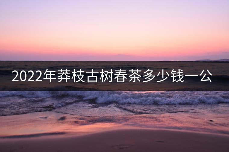 2022年莽枝古樹(shù)春茶多少錢(qián)一公斤？