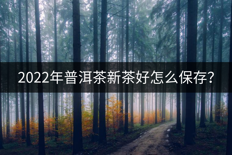 2022年普洱茶新茶好怎么保存？