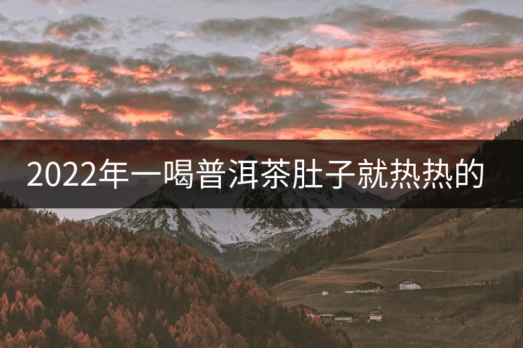 2022年一喝普洱茶肚子就熱熱的怎么回事？