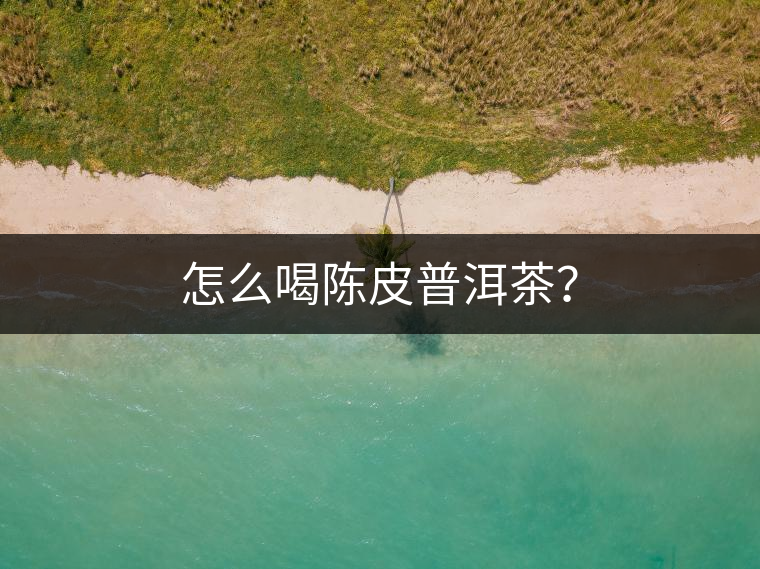 怎么喝陳皮普洱茶？