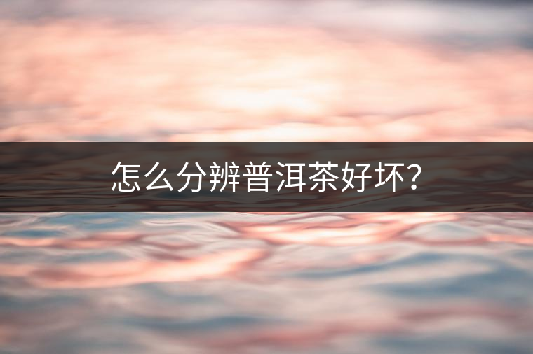 怎么分辨普洱茶好壞？