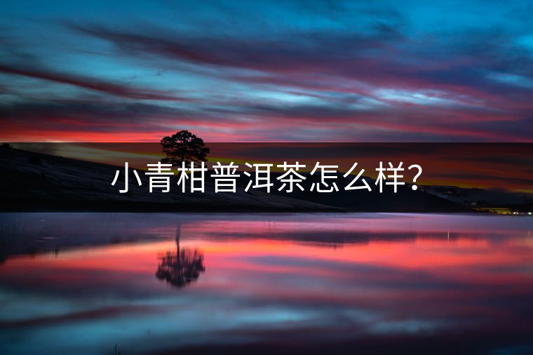 小青柑普洱茶怎么樣？