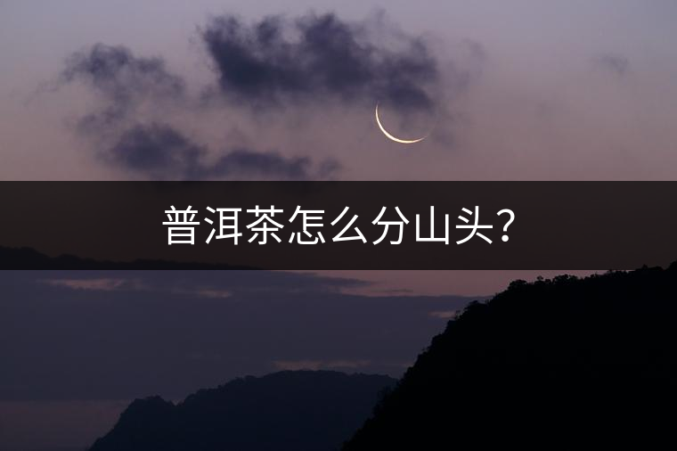 普洱茶怎么分山頭？