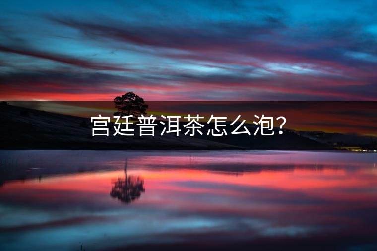 宮廷普洱茶怎么泡？