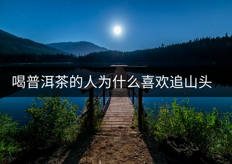 喝普洱茶的人為什么喜歡追山頭？無非就是這幾個(gè)原因