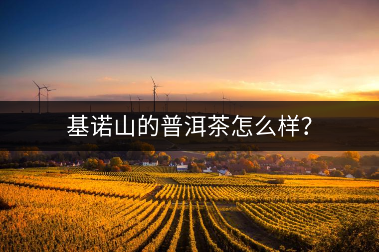 基諾山的普洱茶怎么樣？