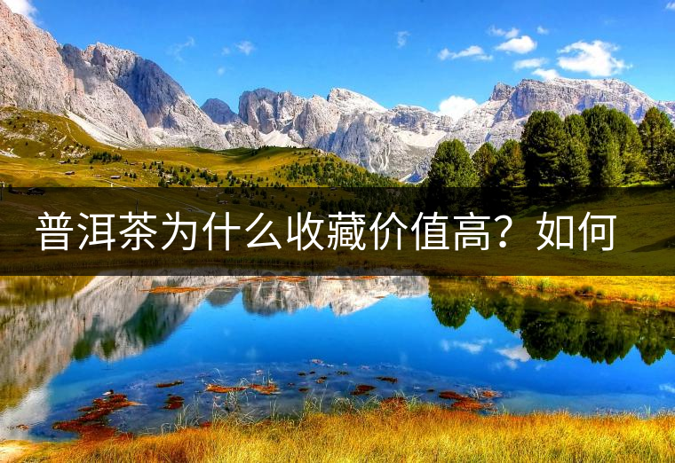 普洱茶為什么收藏價(jià)值高？如何判斷？