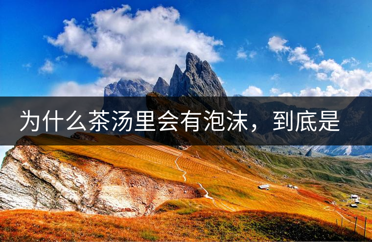 為什么茶湯里會有泡沫，到底是怎么回事？